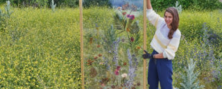 Descubrimos &quot;Un jardín por frontera&quot;, las mamparas de diseño para hostelería creadas por Lola Rúa